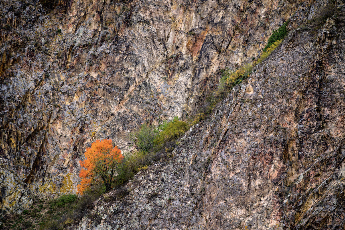 Steil bergan von Birgit Stiebing